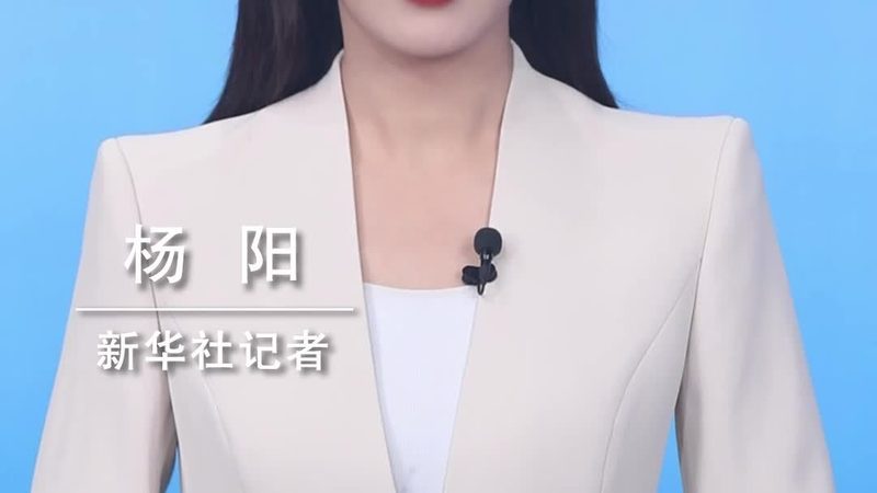 数字孪生软件开发，行业标准背后的关键解析
