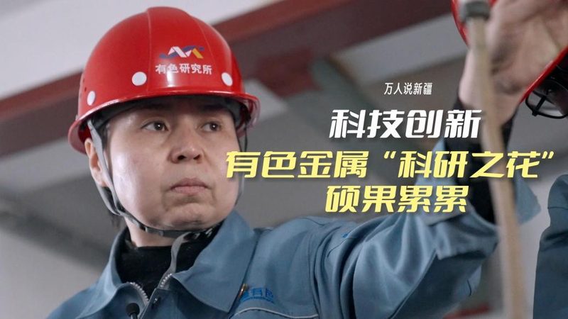 互联网技术基础教程：构建现代网络的基石**
